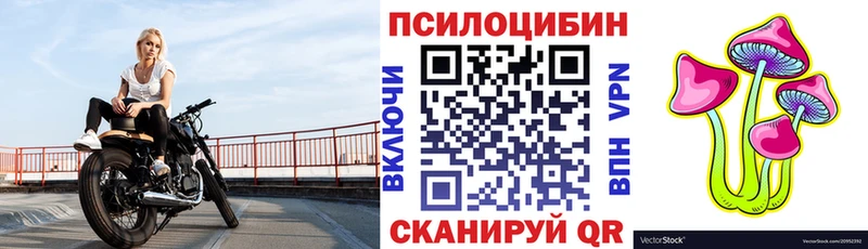 Псилоцибиновые грибы Psilocybine cubensis Новомосковск